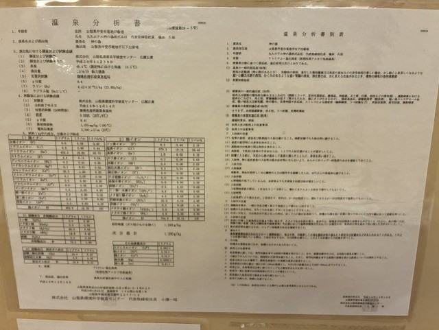 温泉分析表1