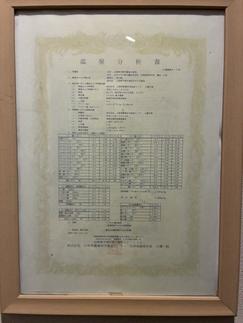 温泉分析表2