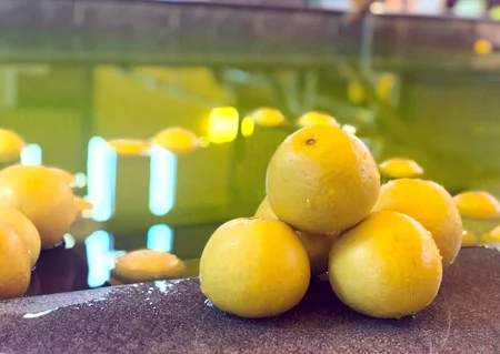 季節の替り湯