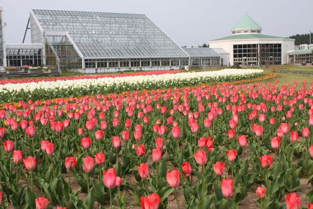 道の駅　しょうわ　外観